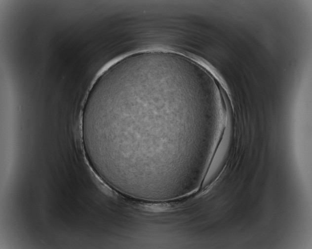X0000086011388200704131818