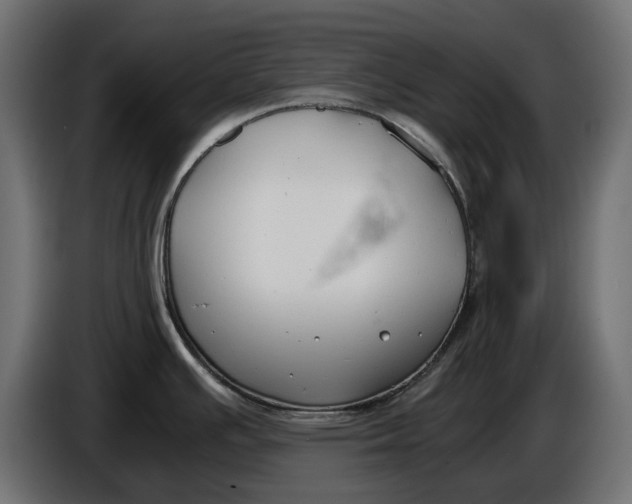 X0000086011391200704131818