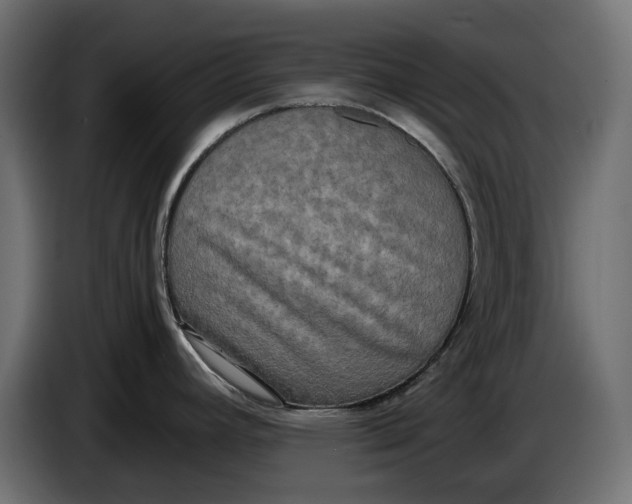 X0000086011392200704131818