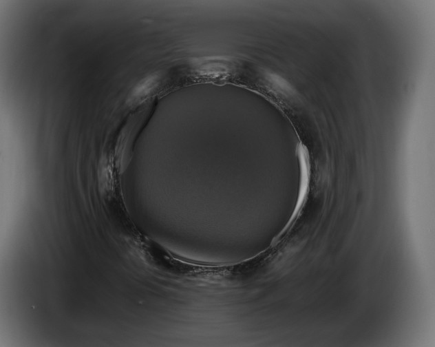 X0000086011394200704131817