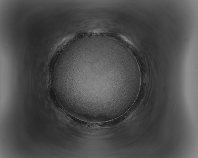 X0000086011398200704131817