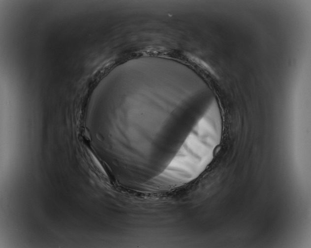 X0000086011399200704131817