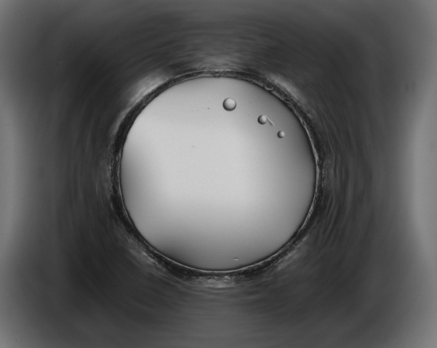 X0000086011410200704131817