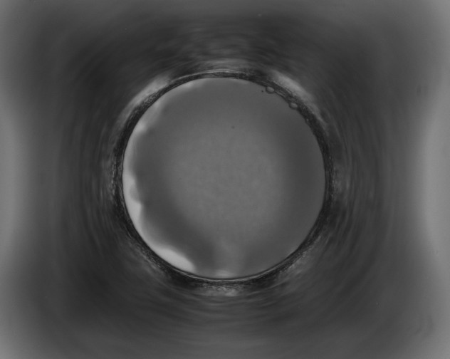 X0000086011411200704131817