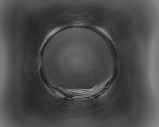 X0000086011413200704131817