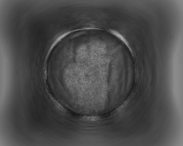 X0000086011415200704131817