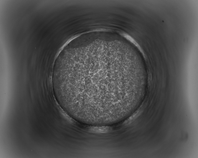 X0000086011417200704131817