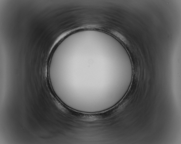 X0000086011420200704131817