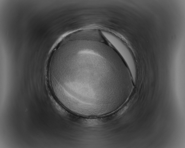 X0000086011422200704131817
