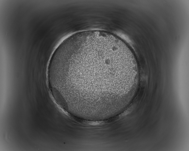 X0000086011423200704131817