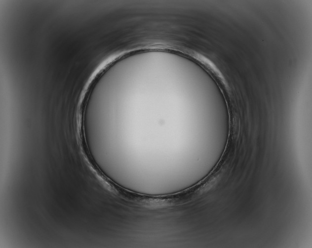 X0000086011424200704131817