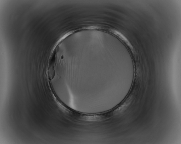 X0000086011425200704131817