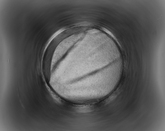X0000086011426200704131818