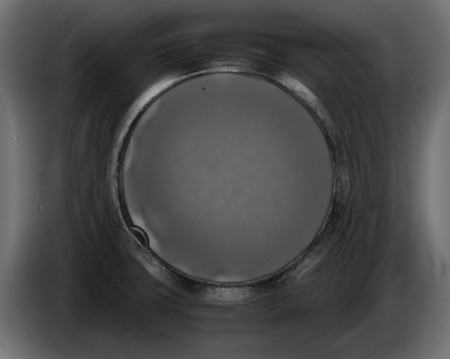 X0000086011427200704131818
