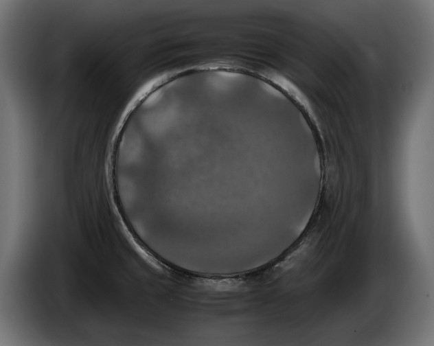 X0000086011429200704131818