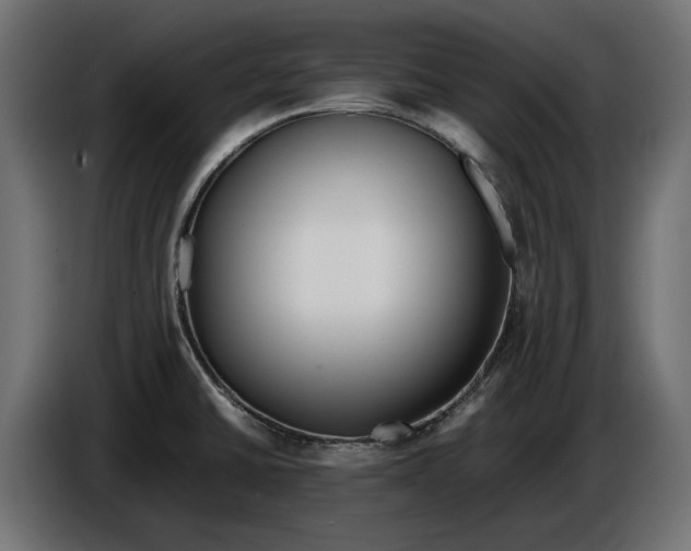 X0000086011430200704131818