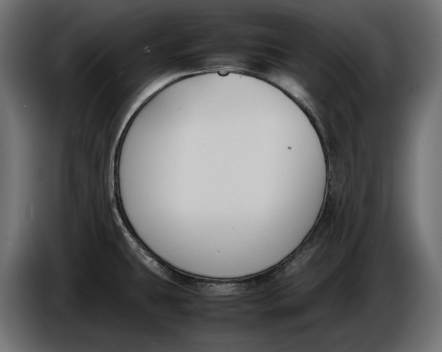 X0000086011431200704131818