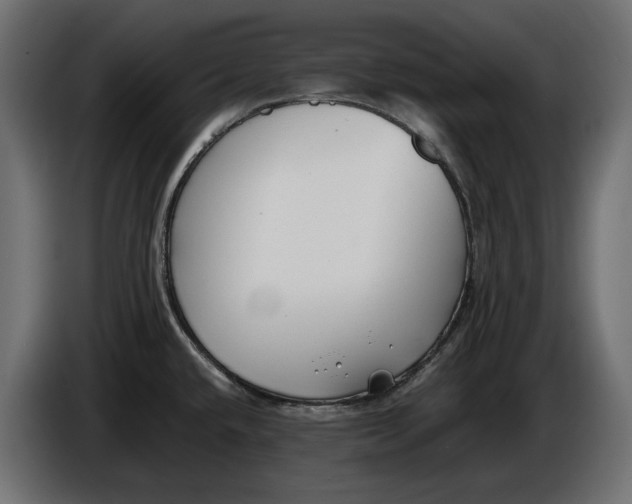 X0000086011432200704131818