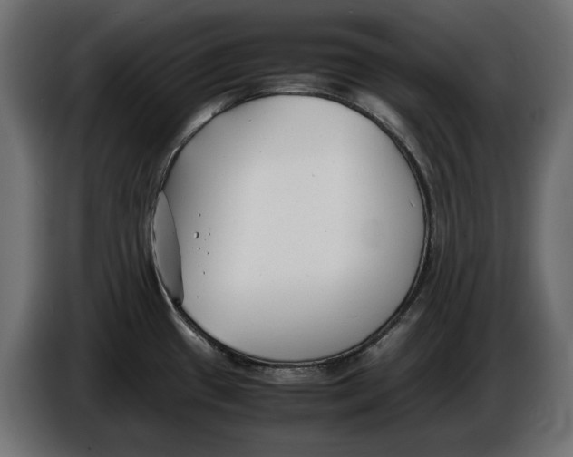 X0000086011433200704131818