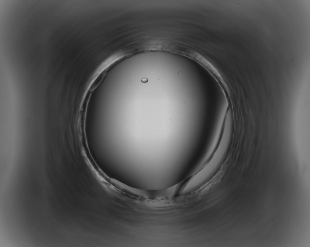 X0000086011434200704131818