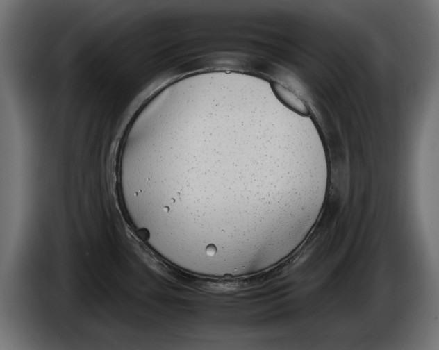 X0000086011435200704131818