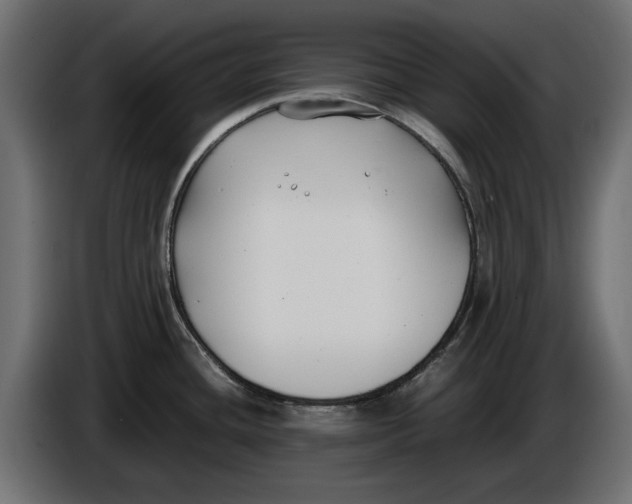 X0000086011436200704131818