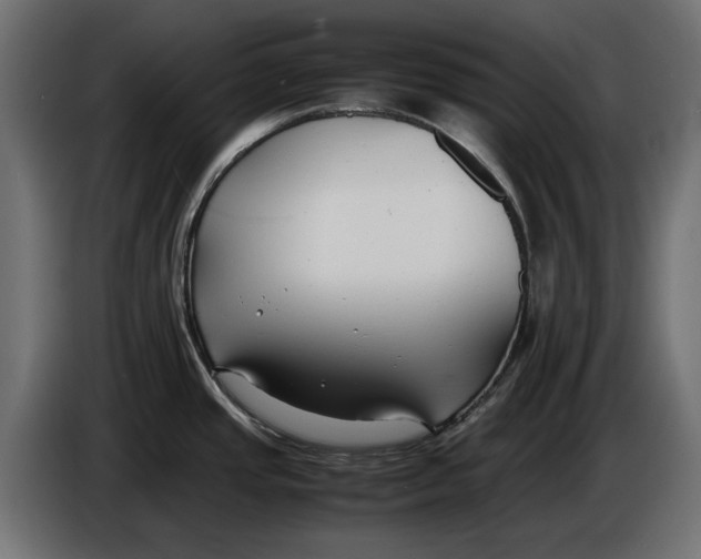 X0000086011437200704131818