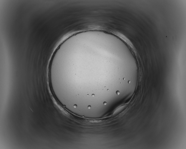 X0000086011439200704131818