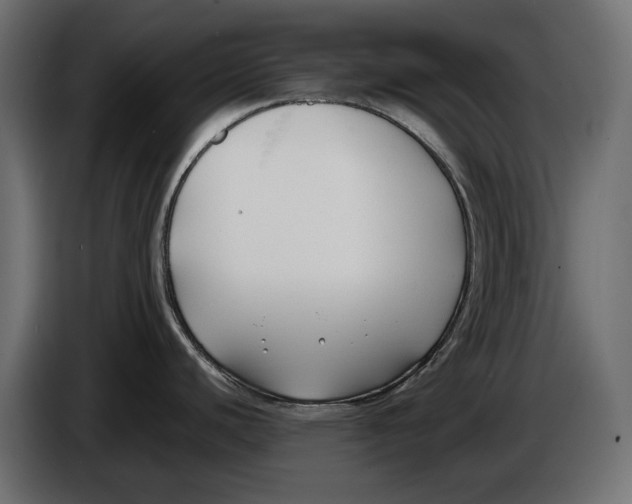 X0000086011440200704131818