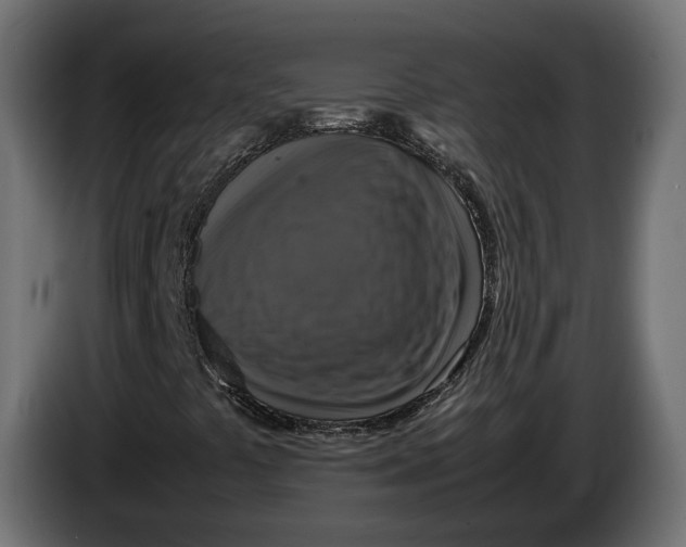 X0000086011441200704131817