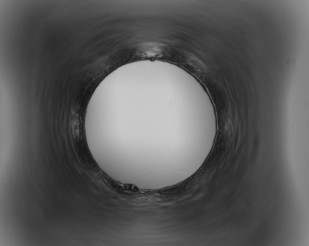X0000086011442200704131817