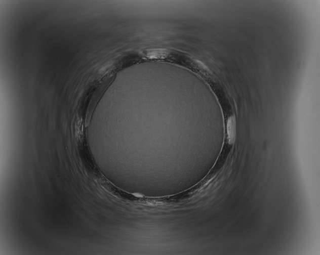 X0000086011443200704131817