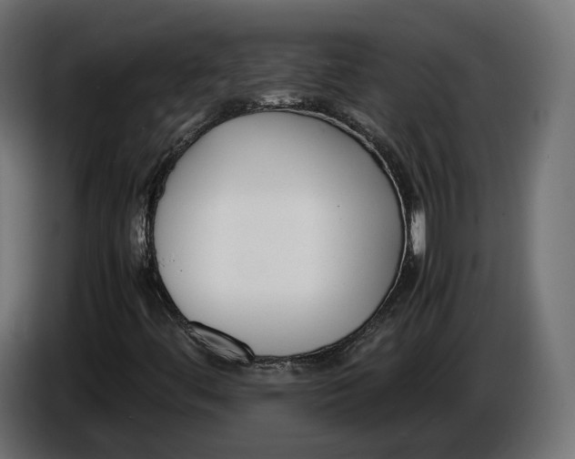X0000086011444200704131817
