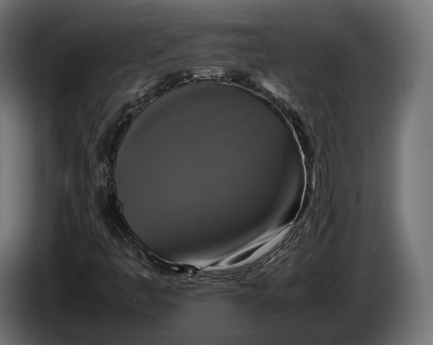 X0000086011445200704131817