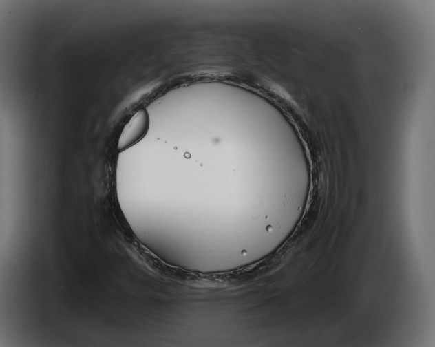 X0000086011448200704131817