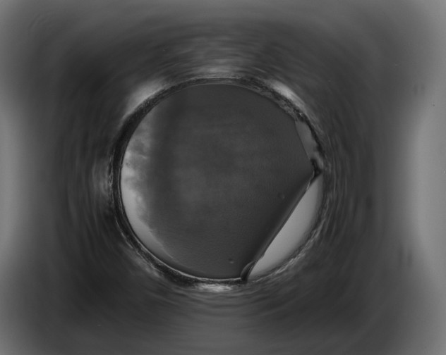 X0000086011450200704131817