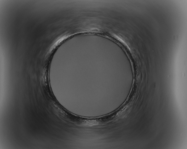 X0000086011455200704131817