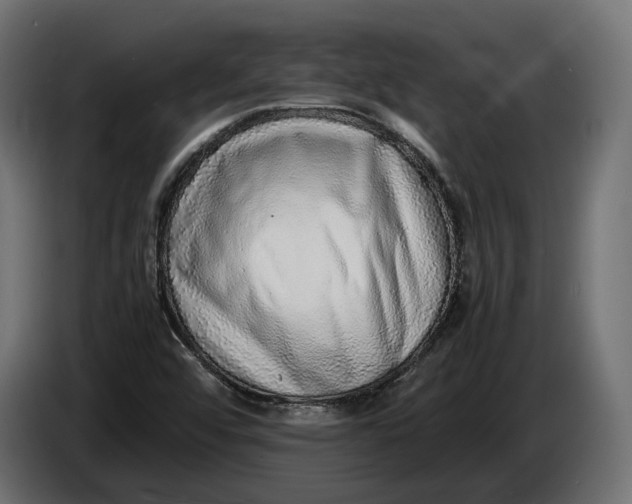 X0000086011456200704131817