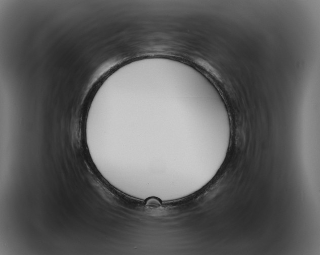 X0000086011458200704131817