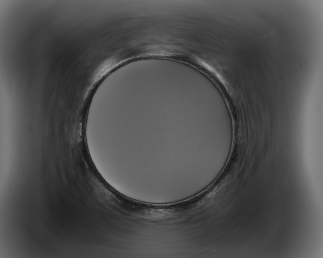 X0000086011459200704131817