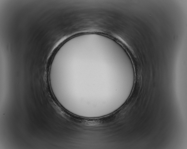 X0000086011460200704131817