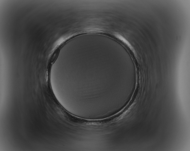 X0000086011461200704131817