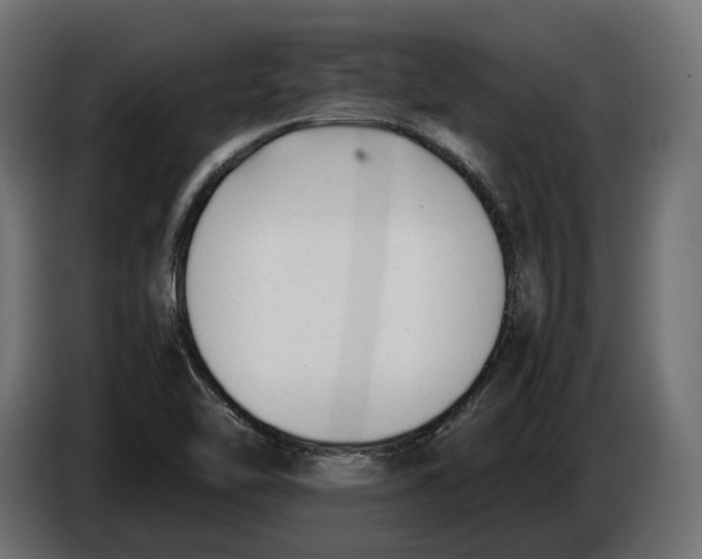 X0000086011462200704131817