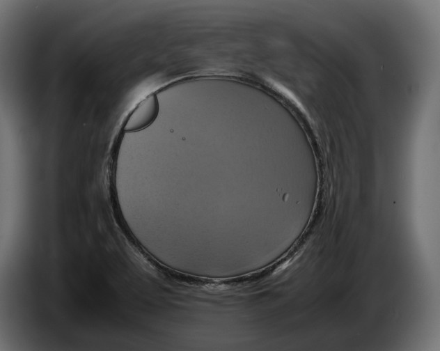 X0000086011463200704131817