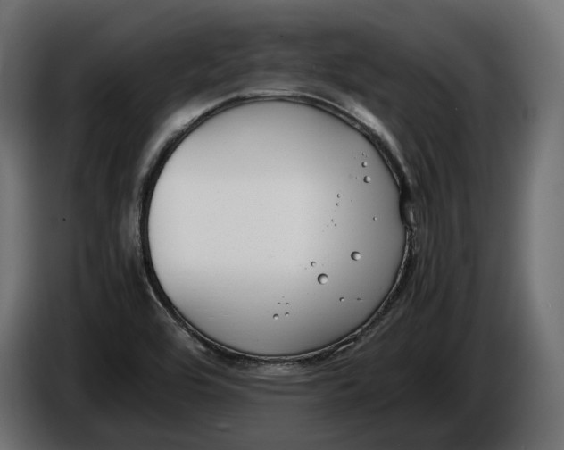 X0000086011464200704131817