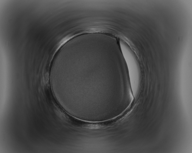 X0000086011465200704131817