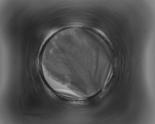 X0000086011466200704131817