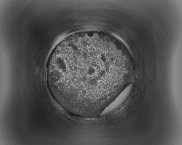 X0000086011467200704131817