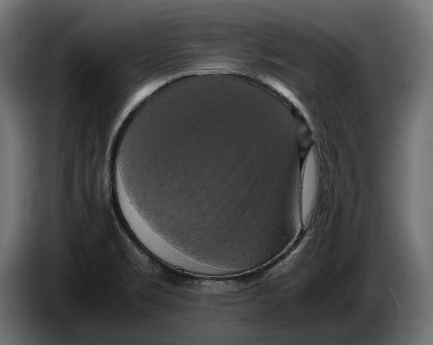 X0000086011469200704131817
