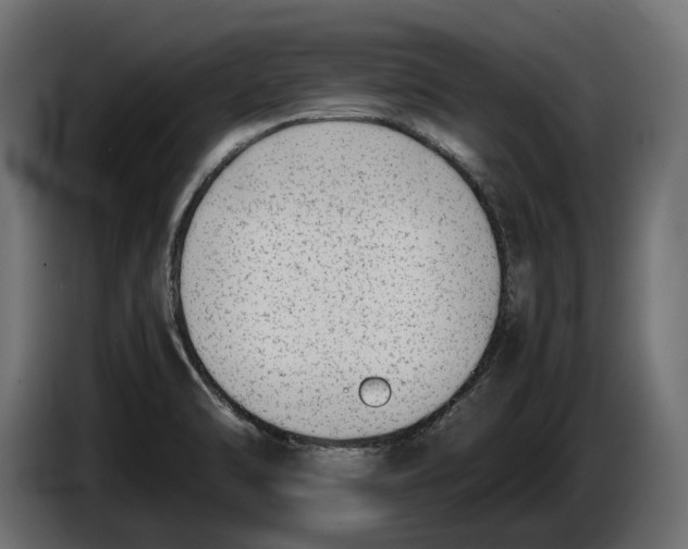 X0000086011470200704131817